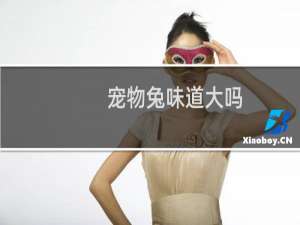 宠物兔味道大吗