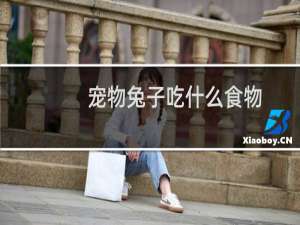 宠物兔子吃什么食物