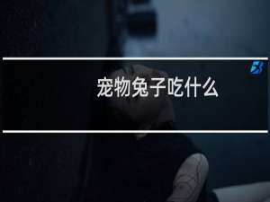 宠物兔子吃什么