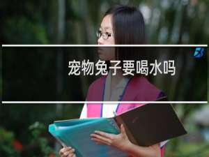 宠物兔子要喝水吗