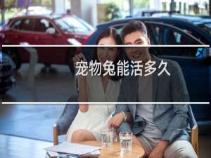 宠物兔能活多久