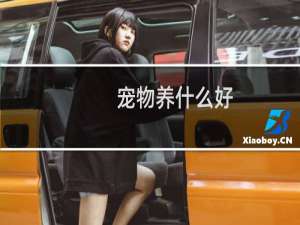 宠物养什么好