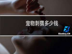 宠物刺猬多少钱