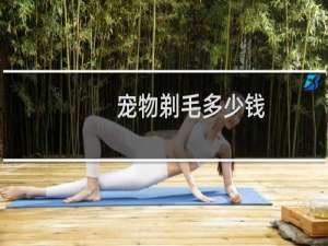 宠物剃毛多少钱