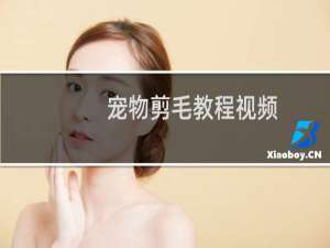 宠物剪毛教程视频