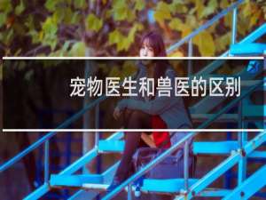 宠物医生和兽医的区别