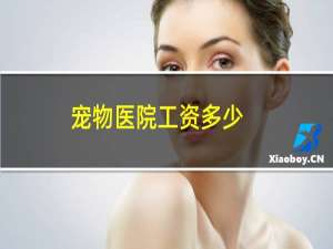 宠物医院工资多少