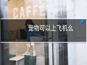 宠物可以上飞机么