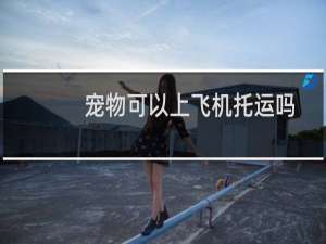 宠物可以上飞机托运吗