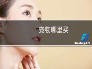 宠物哪里买