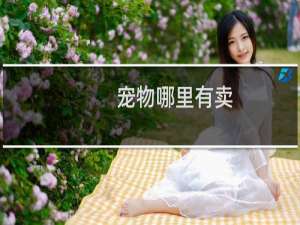 宠物哪里有卖