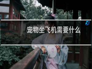 宠物坐飞机需要什么