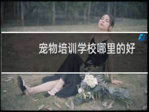 宠物培训学校哪里的好