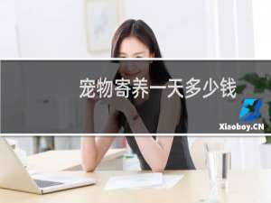 宠物寄养一天多少钱