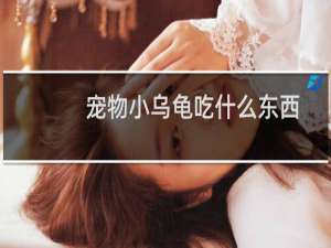 宠物小乌龟吃什么东西