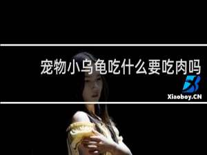 宠物小乌龟吃什么要吃肉吗