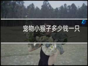 宠物小猴子多少钱一只