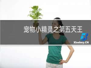 宠物小精灵之第五天王