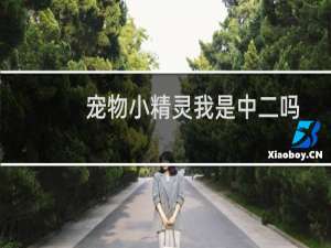 宠物小精灵我是中二吗