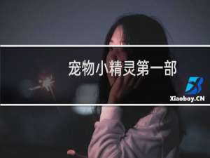 宠物小精灵第一部