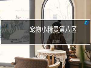 宠物小精灵第八区