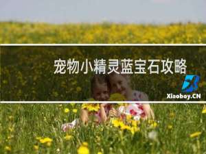 宠物小精灵蓝宝石攻略