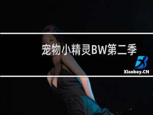 宠物小精灵BW第二季