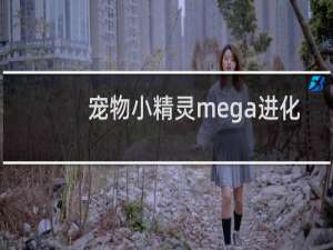 宠物小精灵mega进化