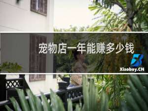 宠物店一年能赚多少钱