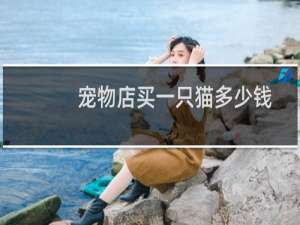 宠物店买一只猫多少钱