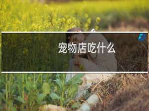 宠物店吃什么