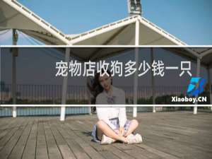 宠物店收狗多少钱一只