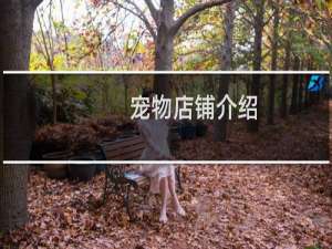 宠物店铺介绍