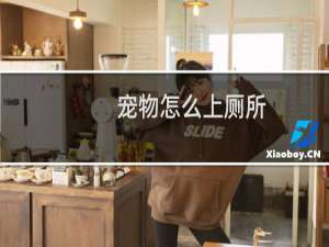 宠物怎么上厕所