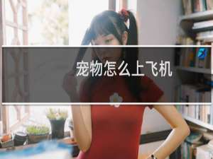 宠物怎么上飞机