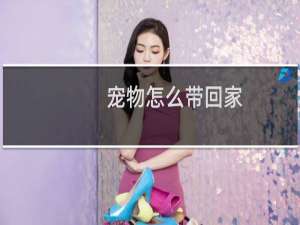 宠物怎么带回家