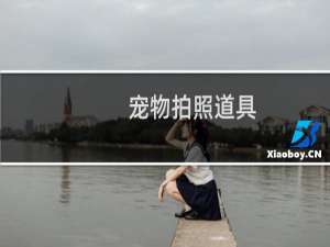 宠物拍照道具