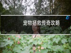 宠物拯救传奇攻略