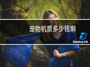 宠物机票多少钱啊