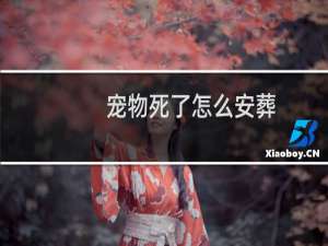 宠物死了怎么安葬