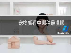 宠物狐狸中哪种最温顺