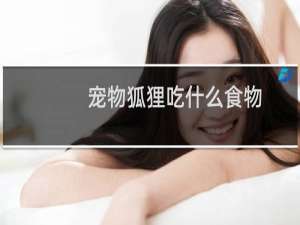 宠物狐狸吃什么食物