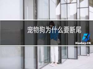 宠物狗为什么要断尾