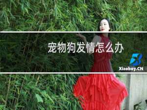 宠物狗发情怎么办