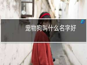 宠物狗叫什么名字好