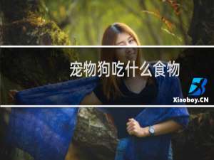 宠物狗吃什么食物