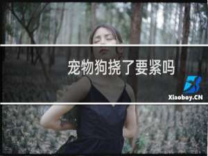 宠物狗挠了要紧吗