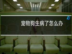 宠物狗生病了怎么办