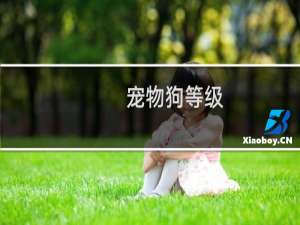 宠物狗等级