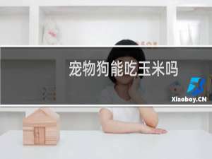 宠物狗能吃玉米吗